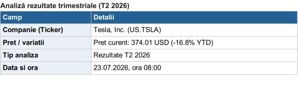 Tesla - pariul de miliarde pe AI